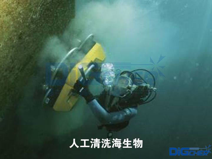 人工清洗海生物